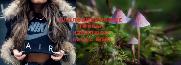 прущий лед Каменск-Шахтинский