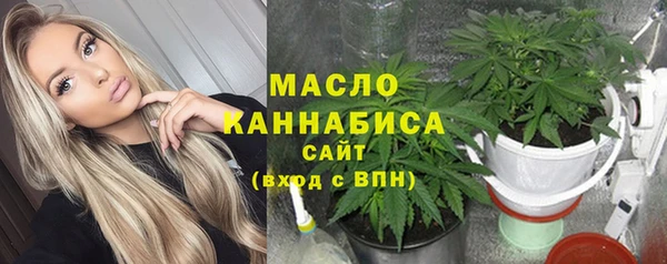 метадон Каменка