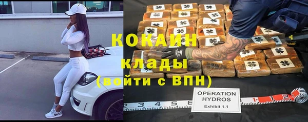 метадон Каменка