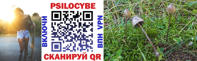 Псилоцибиновые грибы мицелий  Купить закладки  Макушино 